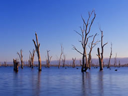 mulwala-community-safety